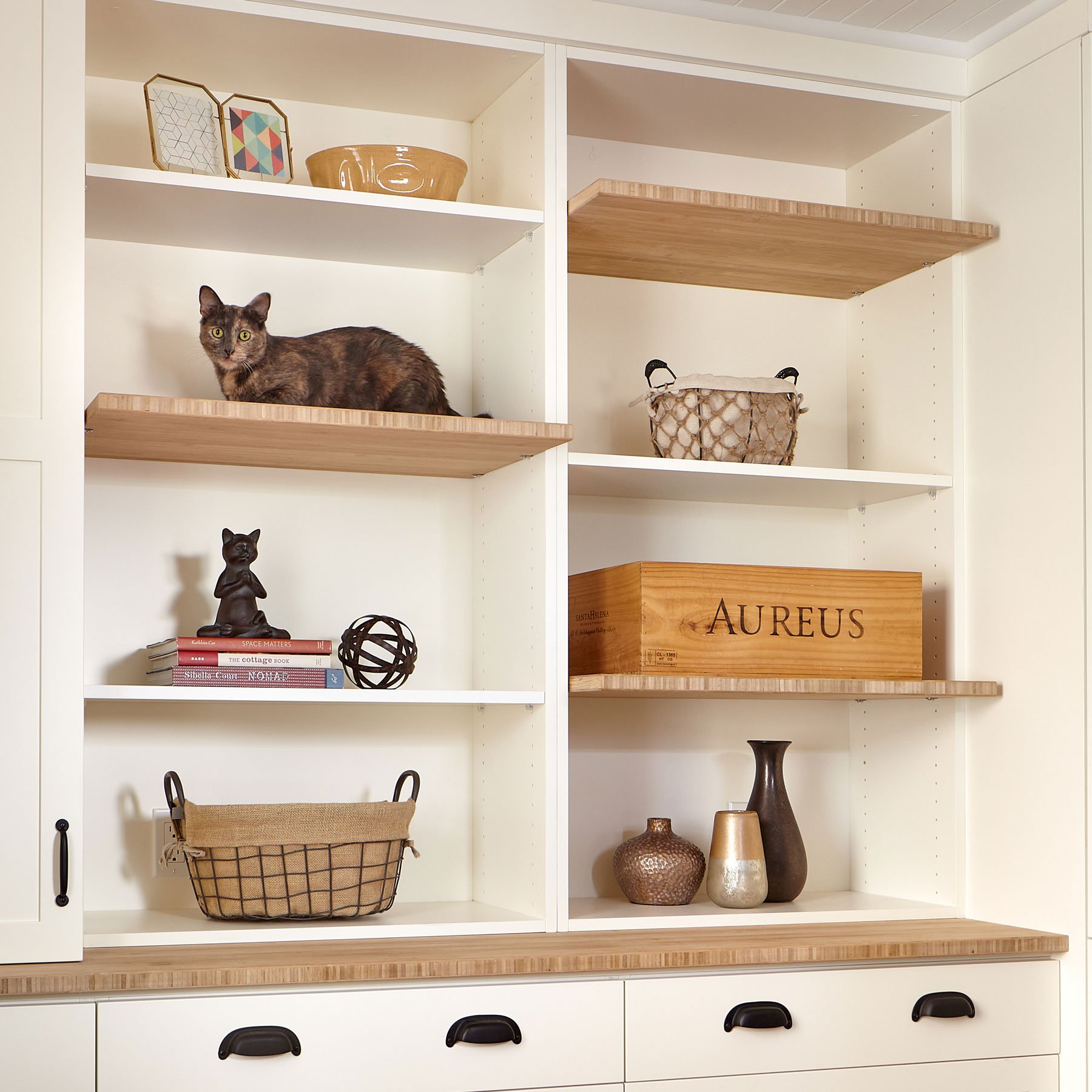 Harrell_Santa-Clara_5_Large