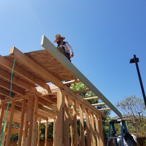 Remodel or Move